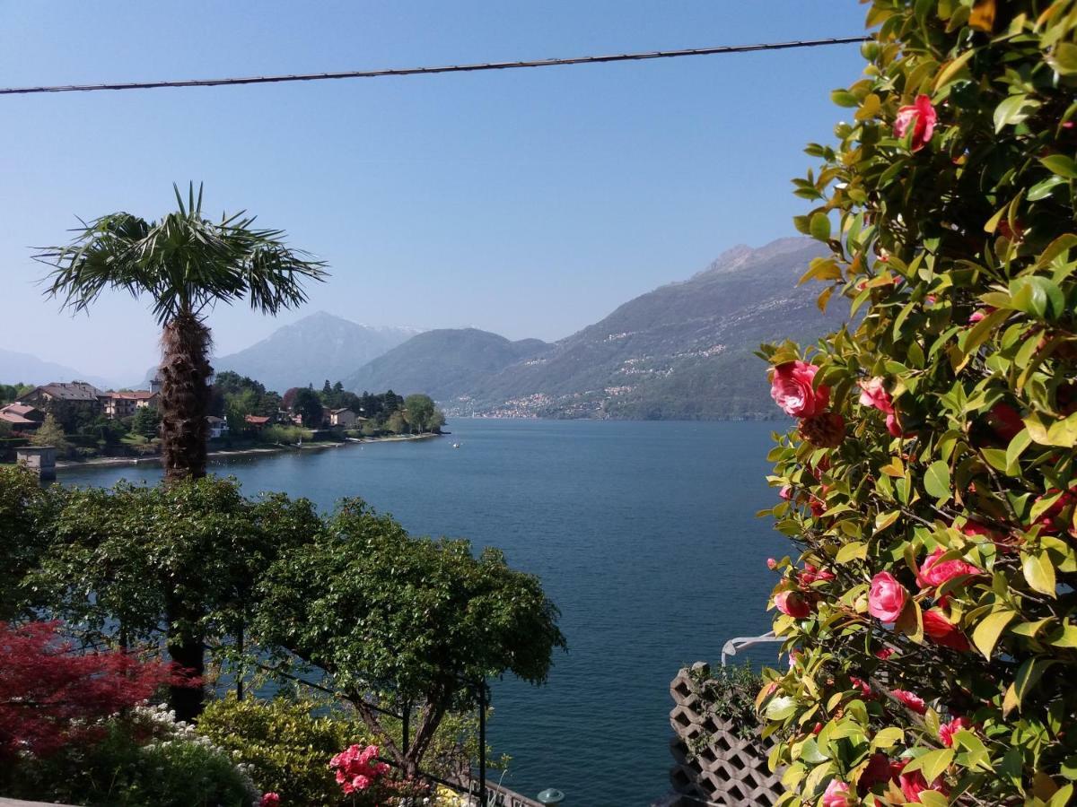 Villa Plinio Lago Di Como แดร์วิโอ ภายนอก รูปภาพ