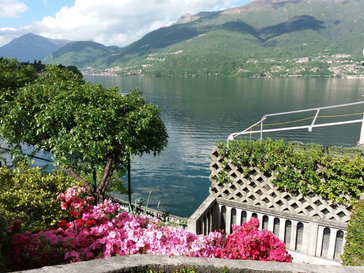 Villa Plinio Lago Di Como แดร์วิโอ ภายนอก รูปภาพ