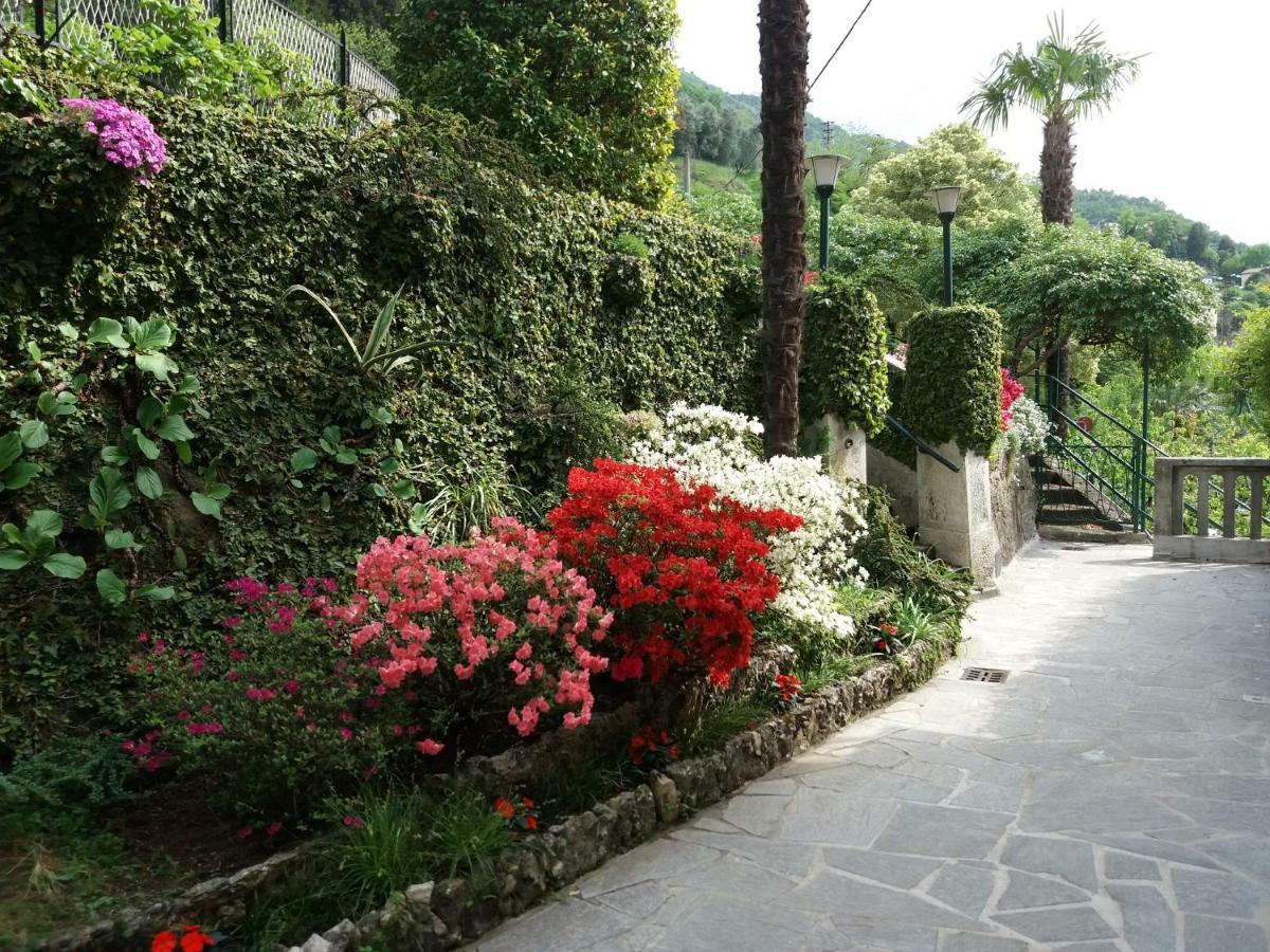 Villa Plinio Lago Di Como แดร์วิโอ ภายนอก รูปภาพ